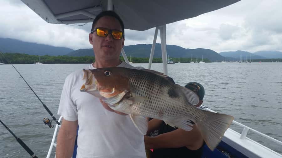 Cairns: Morning Estuary Fishing Charter - What you might catch in Cairns estuary waters