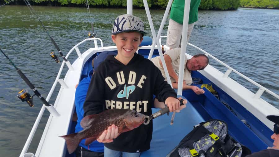 Cairns: Morning Estuary Fishing Charter - Price and value: $106 per person for a guided estuary morning