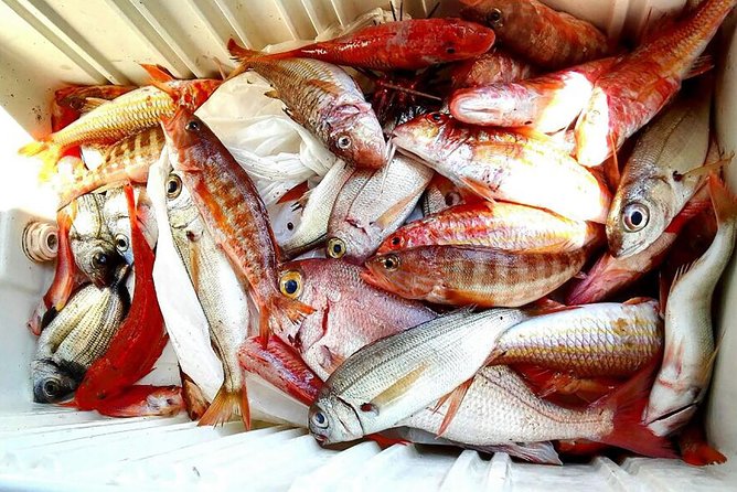 Capri Fishing Excursion with Snorkeling and Lunch from Sorrento - The Return to Sorrento and a Limoncello Finish