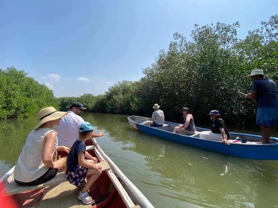 Cartagena: Mangrove Eco Tour & Fishing with Transportation - Cartagena Mangroves and La Boquilla Culture: Why This Trip Works