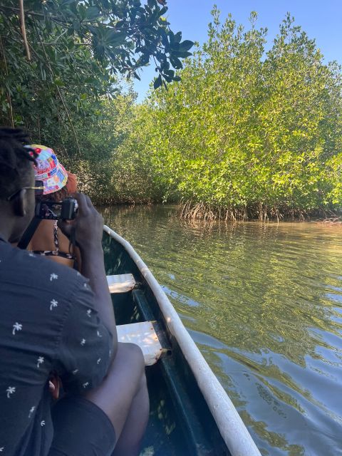 Cartagena: Mangrove Eco Tour & Fishing with Transportation - Viewpoint Time: How the Scenery Becomes Part of the Lesson