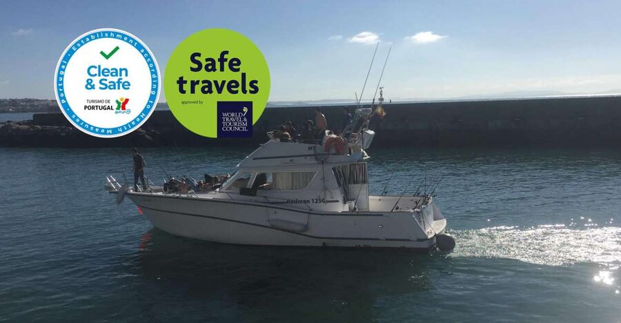Cascais Deep-Sea Fishing Trip - From Cascais Marina out to the Atlantic: the first hour sets the tone