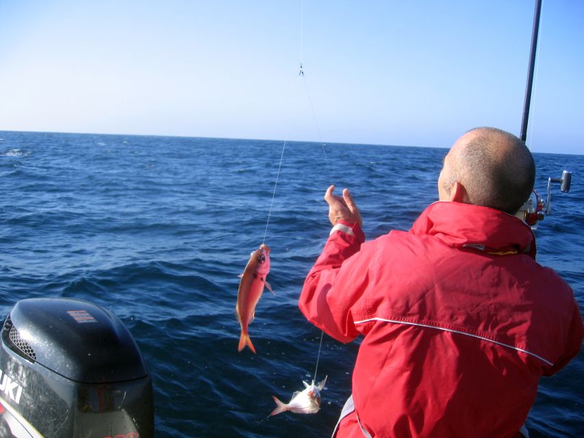 Cascais Deep-Sea Fishing Trip - Deep-sea and rock-bottom fishing: what you’re actually doing out there