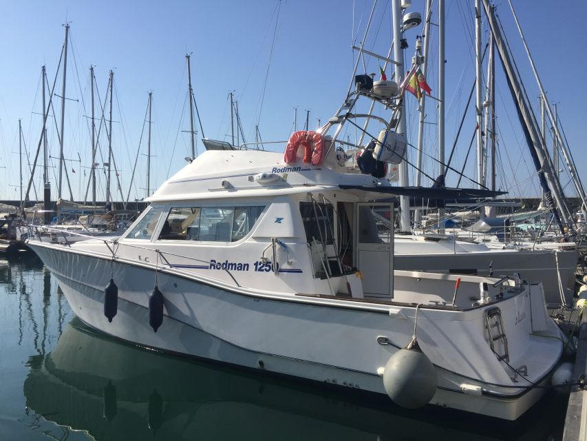 Cascais Deep-Sea Fishing Trip - What to do with your catch (and how to avoid disappointment)