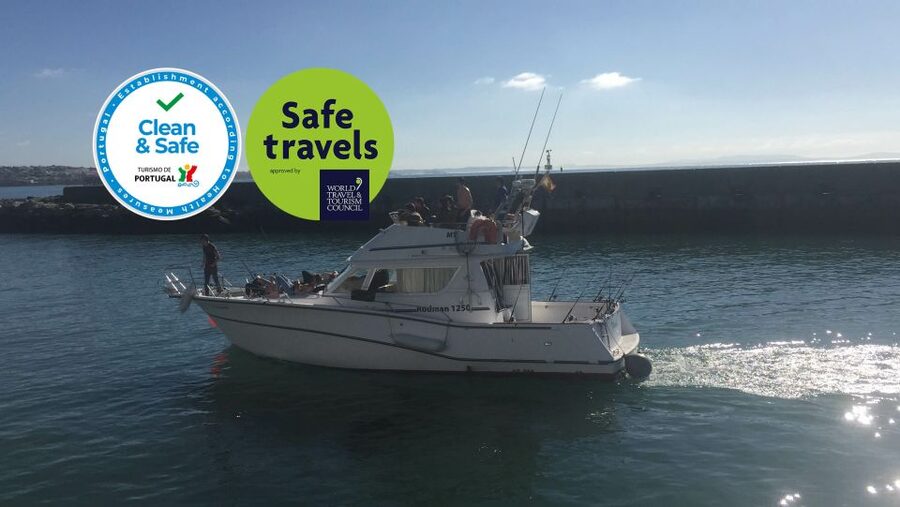Cascais Deep-Sea Fishing Trip - Weather, sea conditions, and motion sickness: the only real dealbreaker