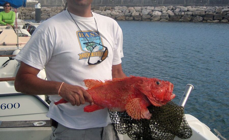 Cascais Deep-Sea Fishing Trip - Who this Cascais fishing trip is best for