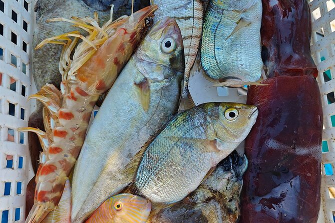 Cefalu: Boat Trip with Fishing, Coastal Tour and Lunch on Board - A Morning Start in Cefalù: Getting Out Before the Heat