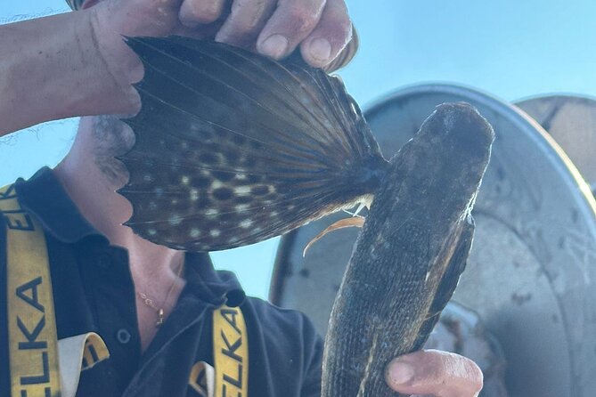 Cefalu: Boat Trip with Fishing, Coastal Tour and Lunch on Board - Price and Value: Is $95.31 Worth It for 6 Hours?