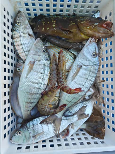Cefalù: boat trip with fishing, coastal tour, snorkeling, and lunch on board - Boat details that affect your day: 10 meters, no toilet, life jackets, and small groups