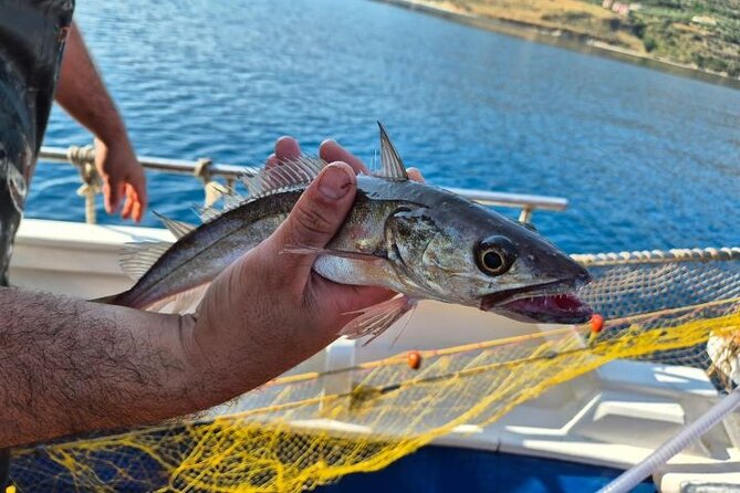 Chania Fishing with Nets Catch and Cook with a Local Fisherman - Key things that make this trip special