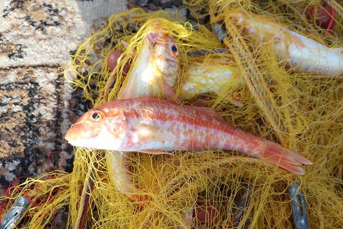 Chania Fishing with Nets Catch and Cook with a Local Fisherman - Swimming stop: the private-cove break that makes the day feel easy