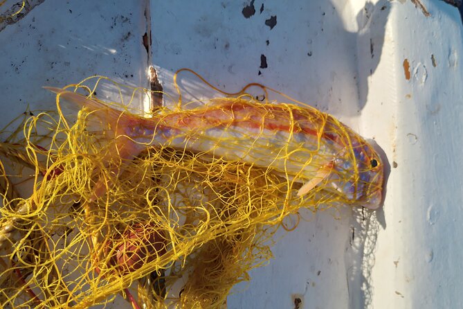 Chania Fishing with Nets Catch and Cook with a Local Fisherman - Who should book this (and who should think twice)