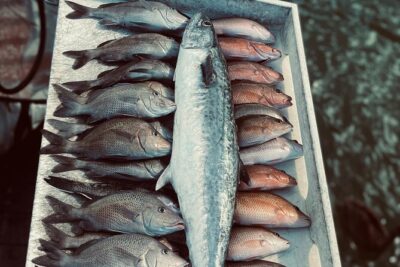 Clearwater Beach Fishing Charter! Half Day of Fishing Fun on the water!!!!! - Your group size: why “up to 4” is a big deal