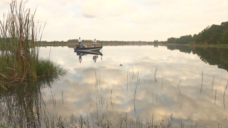 Clermont: Trophy Bass Fishing Experience with Expert Guide - Rules And Restrictions You Need To Know Before You Go