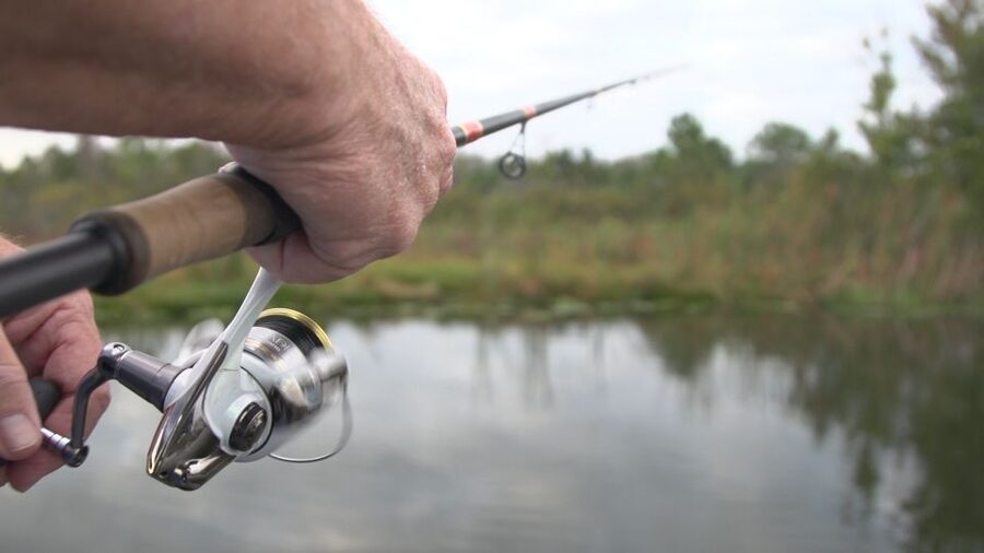 Clermont: Trophy Bass Fishing Experience with Expert Guide - Value For Money: Is $325 Worth It?