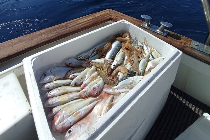 Corfu Private Fishing Cruises - Price and Value: What You’re Really Paying For