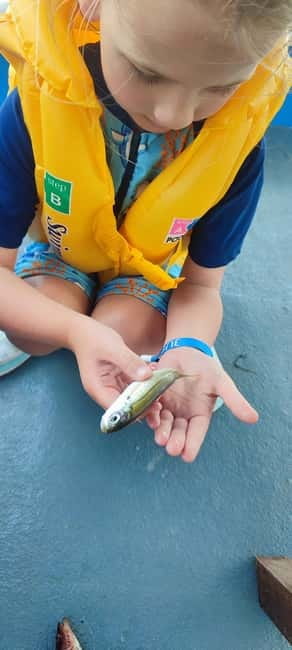 Crete: Boat Cruise with Fishing, Swimming, Lunch, and Drinks - Kaiki fishing in Mirabello Gulf: the hands-on part you’ll remember