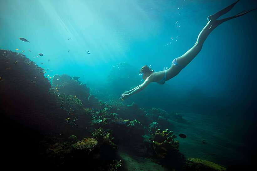 Da Nang: Son Tra Peninsula Exploration - Snorkeling, Fishing - Price and value: is $44 worth it for snorkeling, beach time, and fishing?