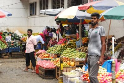 Day out to Galle[Stilt Fishing. Turtle watching.Cinnamon Farm] - Galle Dutch Fort: walking the Dutch layout and English-era repairs