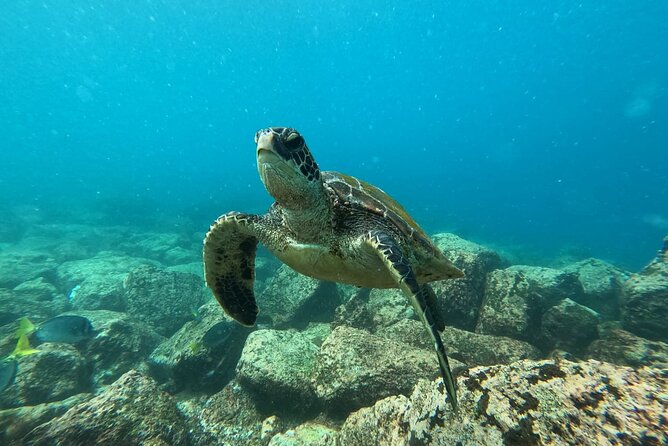 Day Tour to Floreana Island with Snorkeling and Fishing - Key things to know before you go
