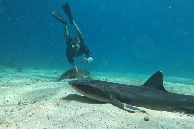 Day Tour to Santa Fe Island and Hidden Beach with snorkeling and fishing - Santa Fe Island: The calm snorkel that feels like a natural pool