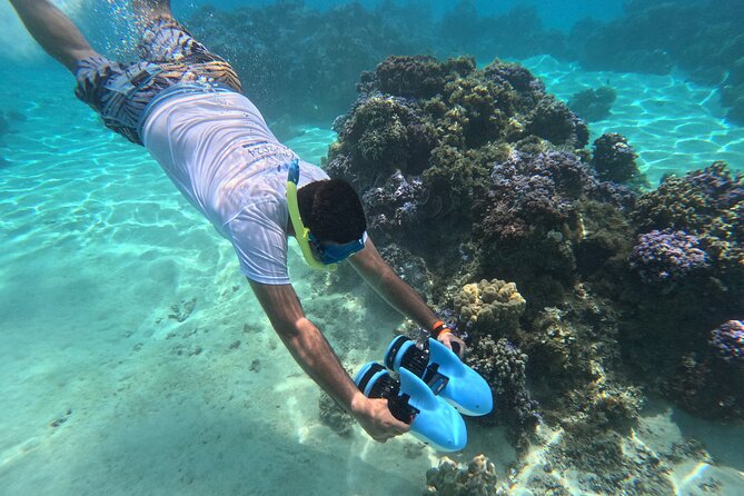 DEEP SEA FISHING 1/2 day (private group) - Should you book? When this trip makes sense and when to think twice