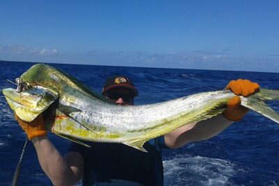 Deep sea fishing charters in Fort Lauderdale aboard 52' Hatteras - The 4-Hour Fishing Plan: Multiple Methods, Not One Long Wait