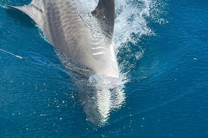 Deep sea fishing charters in Fort Lauderdale aboard 52' Hatteras - Price and Value: Is $995 for a Group a Good Deal?