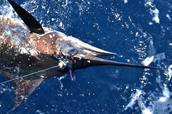 Deep Sea Fishing Private Boat Charter in San Juan - Value and Price: Is $947.75 for Up to 6 a Good Deal?