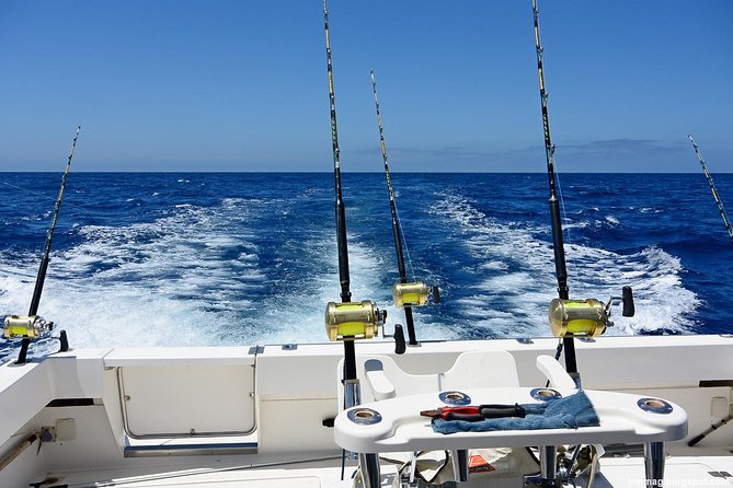 Deep Sea Fishing Tour - What You’re Really Paying For: $89.99 Includes More Than a Boat