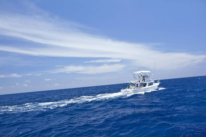 Deep Sea Sport Fishing From Montego Bay - Entering Montego Bay Yacht Club and the 4-hour plan