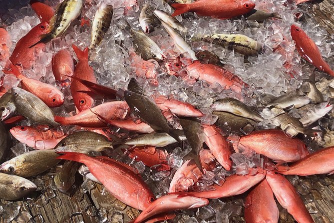 Destin: Party and Walk-On Fishing trip - What you bring: cooler basics, towels, and motion sickness timing