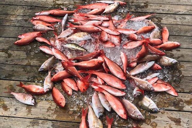 Destin: Party and Walk-On Fishing trip - Crowded deck reality: line tangles and how to manage them