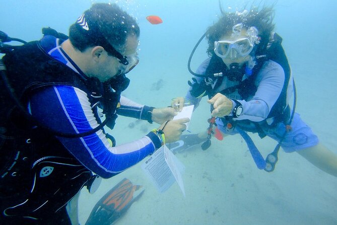 Discover Scuba Diving from a Fishing Village - The Qantab home reef: flora and fauna, fish, and turtles