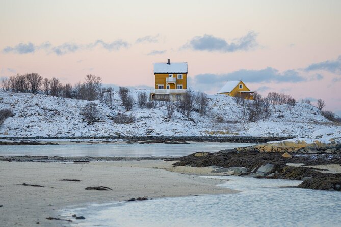 Discover the Fjords of Kvaloya - a roadtrip along fjords and fishing villages - Key Highlights You’ll Care About