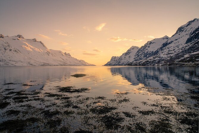 Discover the Fjords of Kvaloya - a roadtrip along fjords and fishing villages - Kvaløya Fjords from Tromsø: Why This Road Trip Hits Hard