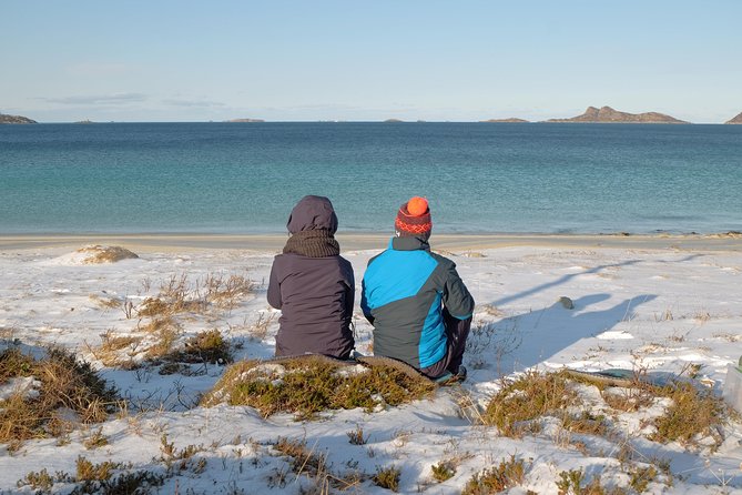 Discover the Fjords of Kvaloya - a roadtrip along fjords and fishing villages - Wildlife and Wildlife-Listening: Reindeer, Otters, Seals, Moose (When Conditions Help)
