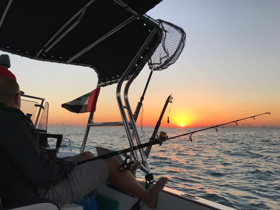 Dubai: 4-Hour Private Deep Sea/Trolling Fishing Trip - Price and value: $505 per group up to 6