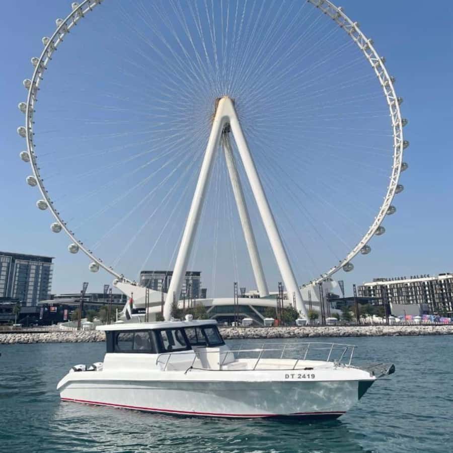 Dubai:Best Fishing Trip-4Hours - Four hours on the Arabian Gulf: what the timing really feels like