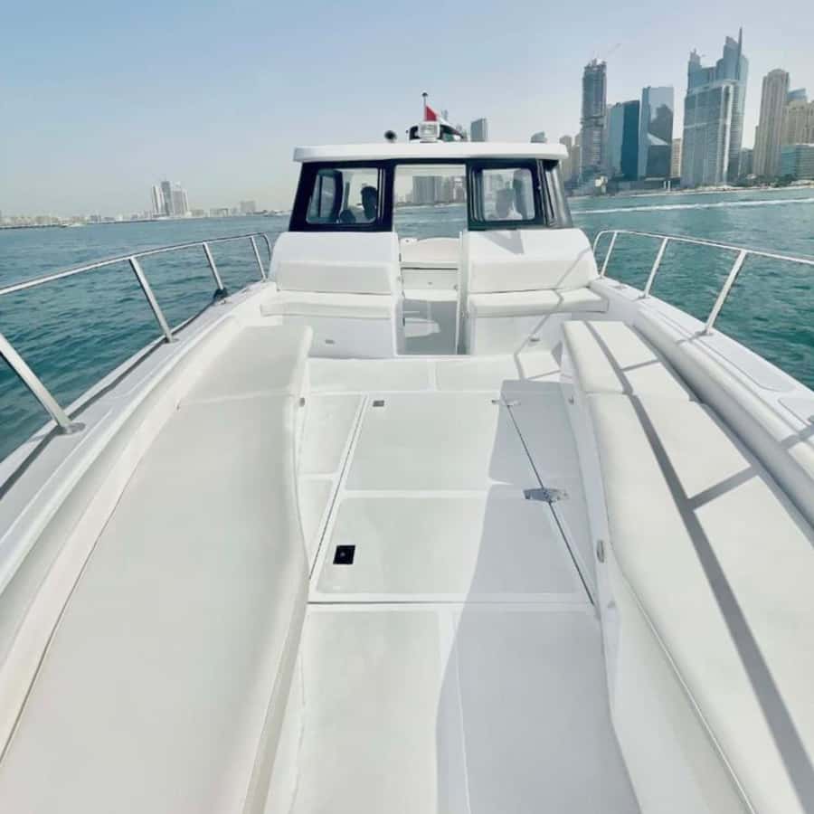 Dubai:Best Fishing Trip-4Hours - Deep-sea fishing setup: rods, bait, weights, and what you’ll actually do