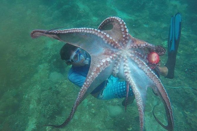 East Bali Spear Or Line Fishing Tour At Virgin Beach - Key highlights you should care about