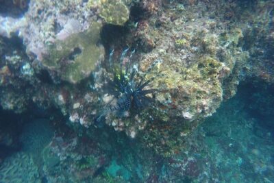East Bali Spear Or Line Fishing Tour At Virgin Beach - The Kusamba salt mining stop: a short cultural pause that actually matters