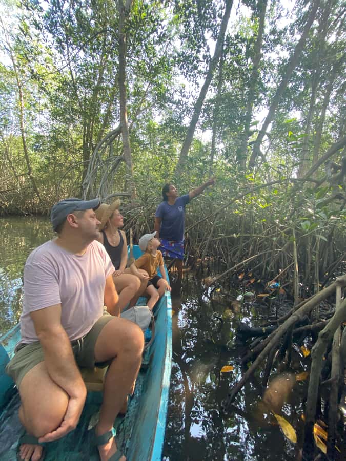 El Paredón: Mangrove Boat Tour with Optional Fishing - Key points I’d keep in your pocket