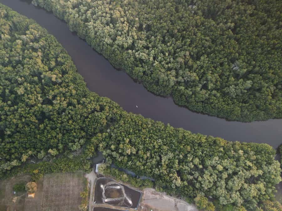 El Paredón: Mangrove Boat Tour with Optional Fishing - What to bring for a comfy mangrove tour (and fewer regrets)