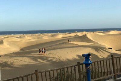 Electric Bike Panoramic South Coast Tour Optional Fishing Tapas - Stop 3: A Botanical Park Mini-Walk That Helps You Spot What Matters