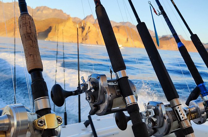Enjoy the sport fishing paradise in Loreto, BCS - Seeing whales and dolphins while you fish