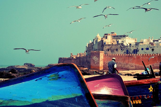 Essaouira The Small Fishing Harbor - The 6–8 hour rhythm: comfort and timing that matters