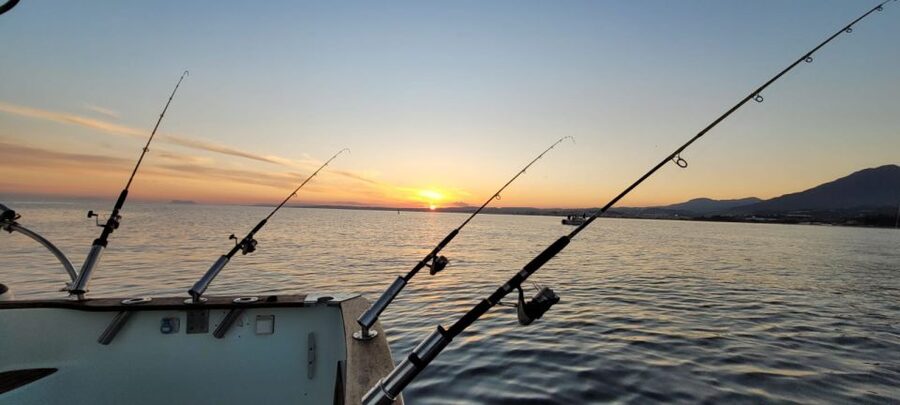 Estepona: Fishing Tour StartFisher 1060 - What Happens During the 2–4 Hours at Sea