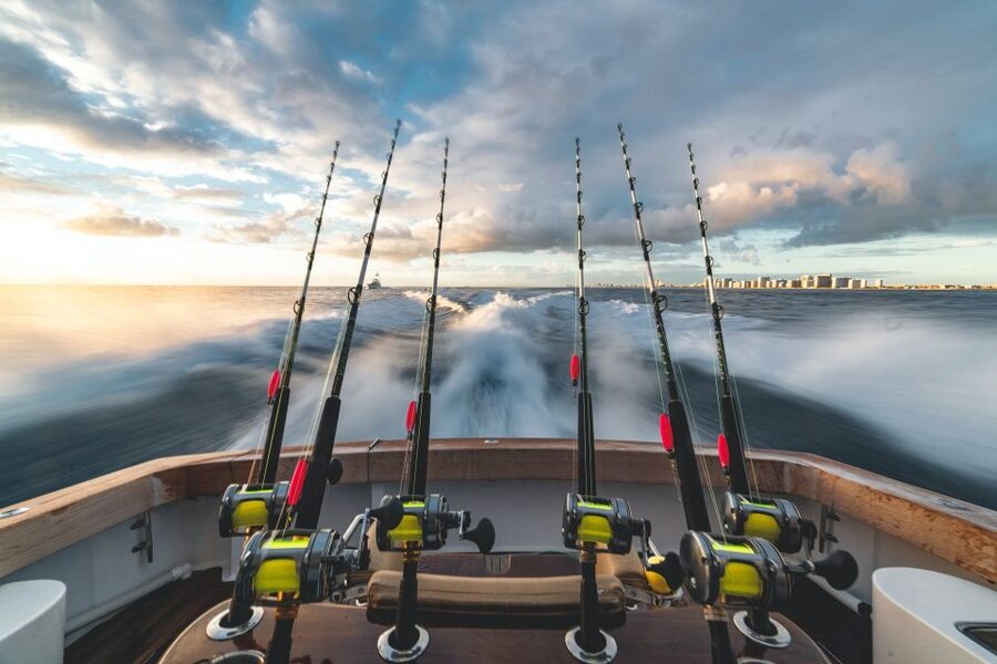 Estepona: Fishing Tour StartFisher 1060 - Price and Value: $542 for Up to 8 People
