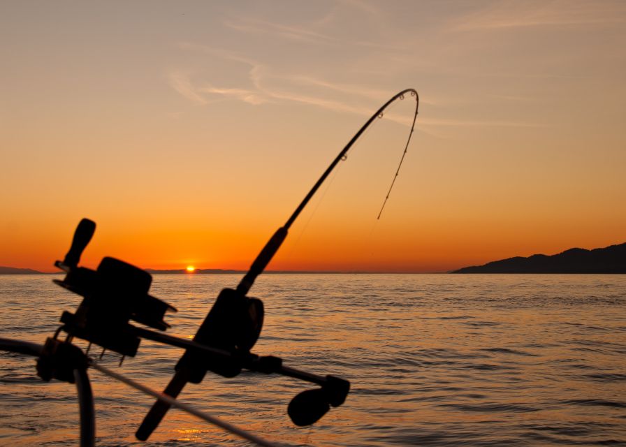 Estepona: Fishing Tour StartFisher 1060 - Who This Private Estepona Fishing Tour Fits Best